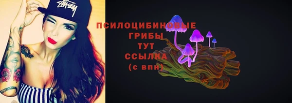стаф Приозерск