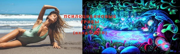 2c-b Протвино