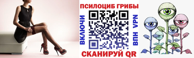 купить закладку Томмот Галлюциногенные грибы Psilocybe
